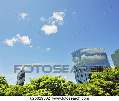 Stock Image - Skyline of Shinjuku, Tokyo Prefecture, Honshu, Japan. Fotosearch