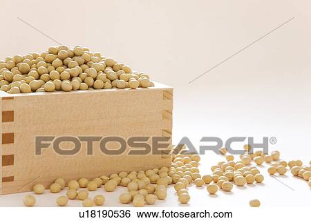 Soybeans in Japanese Measure View Large Photo Image Stock Photograph - Soybeans in Japanese Measure. Fotosearch
