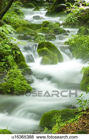 Spring View Large Photo Image Stock Photo - Spring. Fotosearch