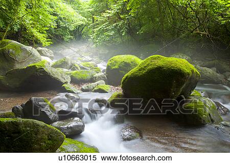 Stock Photography - Spring. Fotosearch