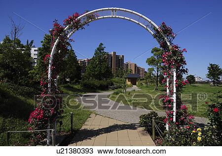 Takasu Chuo Park, Urayasu City, Chiba Prefecture, Honshu, Japan View Large Photo Image Stock Image - Takasu Chuo Park, Urayasu City, Chiba Prefecture, Honshu, Japan. Fotosearch
