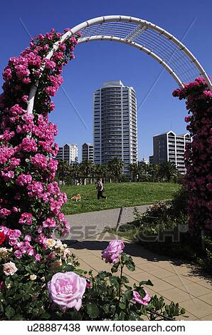 Takasu Chuo Park, Urayasu City, Chiba Prefecture, Honshu, Japan View Large Photo Image Stock Photo - Takasu Chuo Park, Urayasu City, Chiba Prefecture, Honshu, Japan. Fotosearch