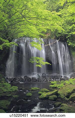 Tatsusawa Fudo no Taki Waterfall View Large Photo Image Stock Image - Tatsusawa Fudo no Taki Waterfall. Fotosearch