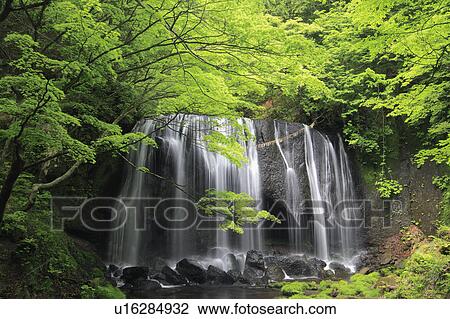 Stock Image - Tatsusawa Fudo no Taki Waterfall. Fotosearch