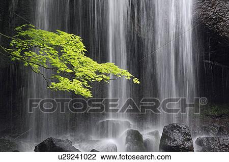 Stock Image - Tatsusawa Fudo no Taki Waterfall. Fotosearch