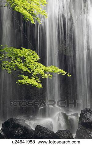 Tatsusawa Fudo no Taki Waterfall View Large Photo Image Stock Photo - Tatsusawa Fudo no Taki Waterfall. Fotosearch