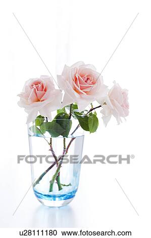 Stock Image - Three Pink Flowers. Fotosearch
