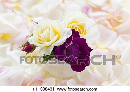 Three Roses in Vase View Large Photo Image Stock Image - Three Roses in Vase. Fotosearch