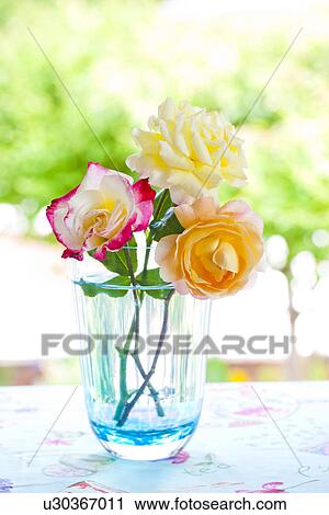 Three Roses in Vase View Large Photo Image Stock Image - Three Roses in Vase. Fotosearch
