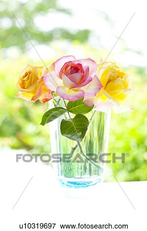 Three Roses View Large Photo Image Stock Photo - Three Roses. Fotosearch