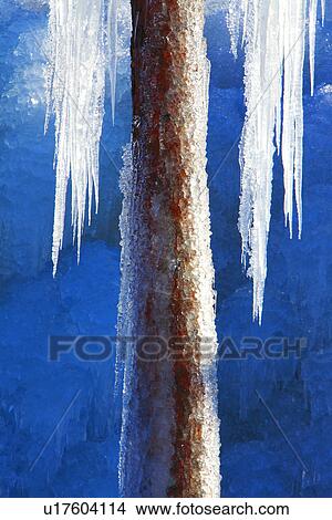 Tree trunk and icicles View Large Photo Image Picture - Tree trunk and icicles. Fotosearch