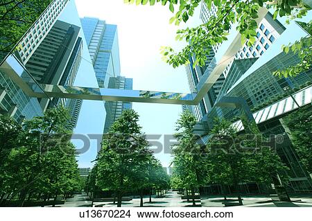 Trees and Office Buildings View Large Photo Image Picture - Trees and Office Buildings. Fotosearch