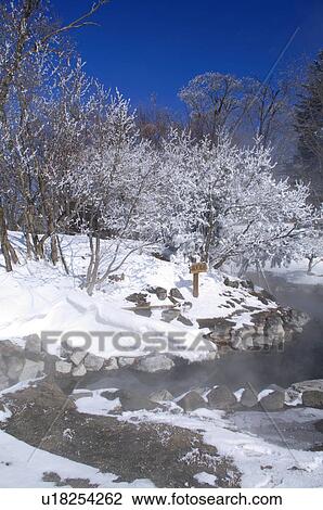 Stock Image - Trees by Stream. Fotosearch