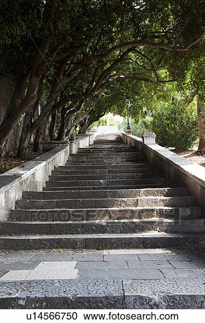 Trees Over Stone Steps View Large Photo Image Stock Image - Trees Over Stone Steps. Fotosearch