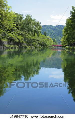 Trees Reflected in Lake View Large Photo Image Stock Image - Trees Reflected in Lake. Fotosearch