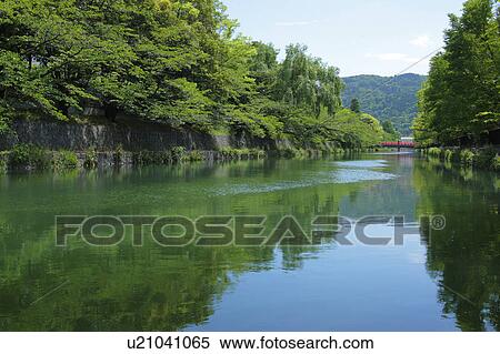 Trees Reflected in Lake View Large Photo Image Stock Photography - Trees Reflected in Lake. Fotosearch