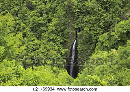 Picture - Tsumijikura Falls. Fotosearch