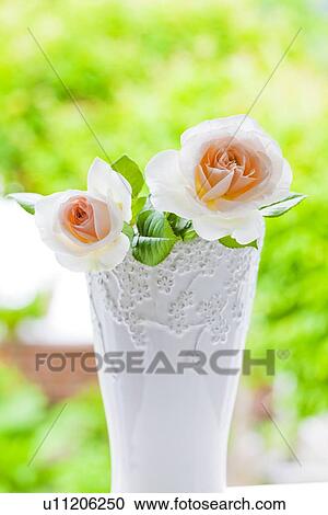 Two Roses in Vase View Large Photo Image Stock Image - Two Roses in Vase. Fotosearch