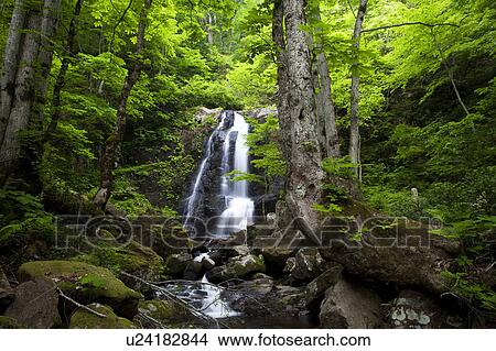 Picture - Utsue Shijuhachi Falls. Fotosearch