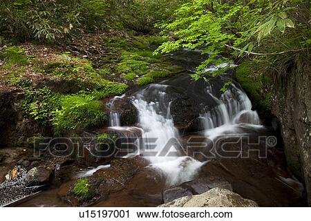 Utsue Shijuhachi Falls View Large Photo Image Stock Image - Utsue Shijuhachi Falls. Fotosearch