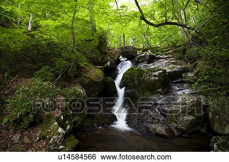 Utsue Shijuhachi Falls View Large Photo Image Stock Photograph - Utsue Shijuhachi Falls. Fotosearch