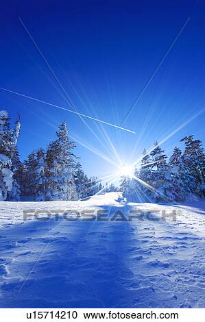 Stock Image - Vapor trail in the sky, Nagano Prefecture, Honshu, Japan. Fotosearch