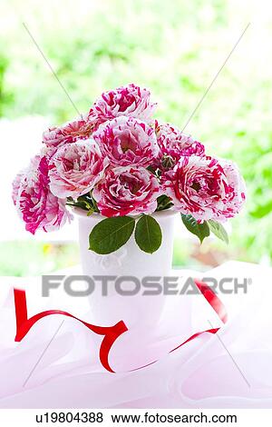 Variegated Roses View Large Photo Image Stock Photo - Variegated Roses. Fotosearch