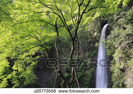 Stock Photo - Waterfall. Fotosearch