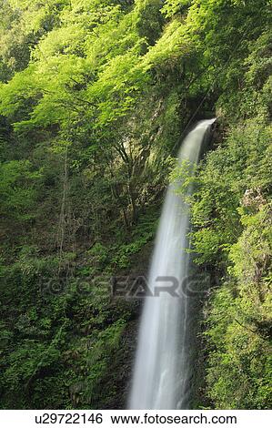 Stock Photograph - Waterfall. Fotosearch