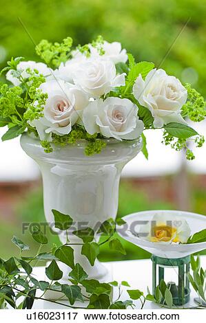 White Roses View Large Photo Image Stock Photo - White Roses. Fotosearch