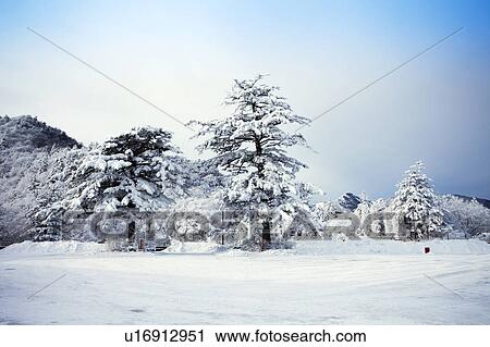 Stock Image - Winter Landscape. Fotosearch