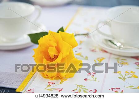 Yellow Rose and Tea Cups View Large Photo Image Stock Photo - Yellow Rose and Tea Cups. Fotosearch
