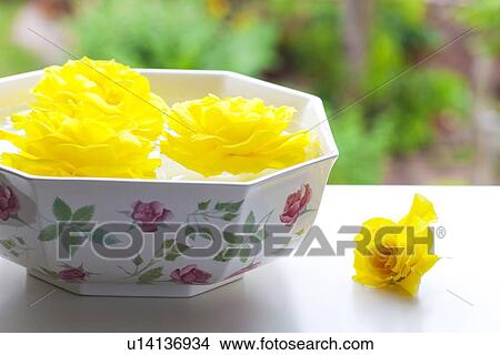 Picture - Yellow Roses Floating on Water. Fotosearch