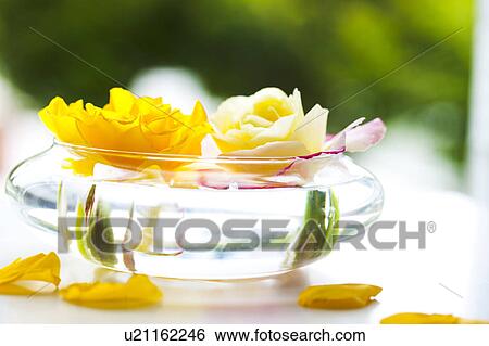 Stock Photograph - Yellow Roses in Bowl. Fotosearch