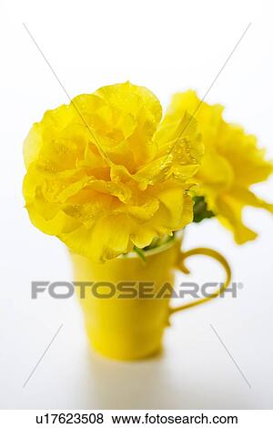 Stock Photo - Yellow Roses in Mug. Fotosearch