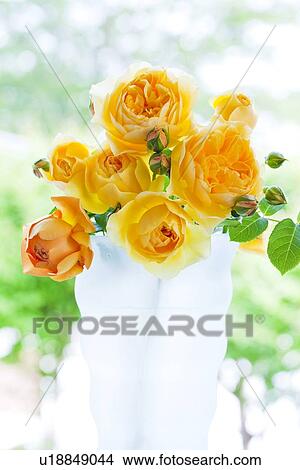 Picture - Yellow Roses. Fotosearch