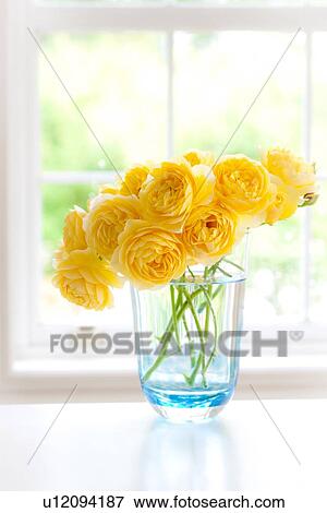 Yellow Roses View Large Photo Image Stock Photo - Yellow Roses. Fotosearch