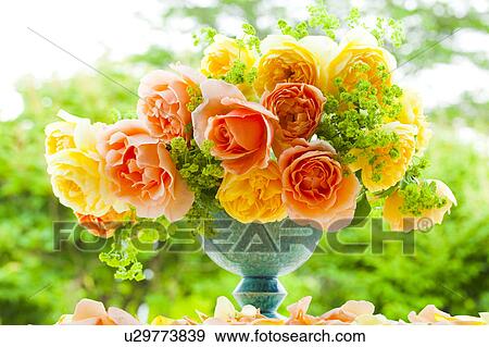 Stock Photo - Yellow Roses. Fotosearch