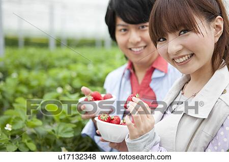 Young couple picking strawberries View Large Photo Image Stock Photo - Young couple picking strawberries. Fotosearch