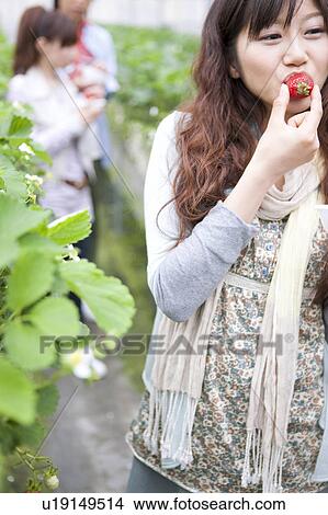 Picture - Young people eating strawberries. Fotosearch