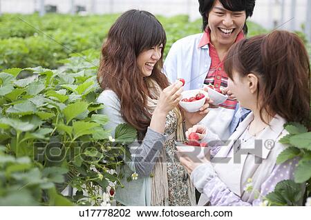 Stock Image - Young people eating strawberries. Fotosearch