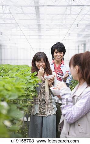 Young people eating strawberries View Large Photo Image Stock Photo - Young people eating strawberries. Fotosearch