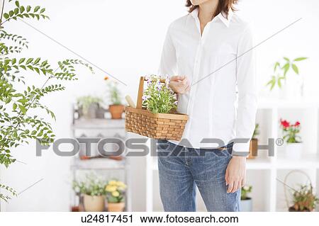 Young woman carrying a basket with potted flower View Large Photo Image Stock Image - Young woman carrying a basket with potted flower. Fotosearch