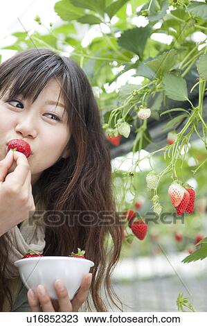 Young woman eating strawberry View Large Photo Image Stock Image - Young woman eating strawberry. Fotosearch