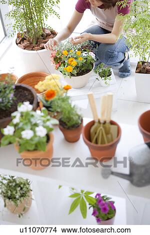 Young woman gardening View Large Photo Image Picture - Young woman gardening. Fotosearch