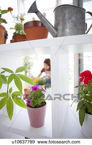 Stock Photo - Young woman gardening. Fotosearch
