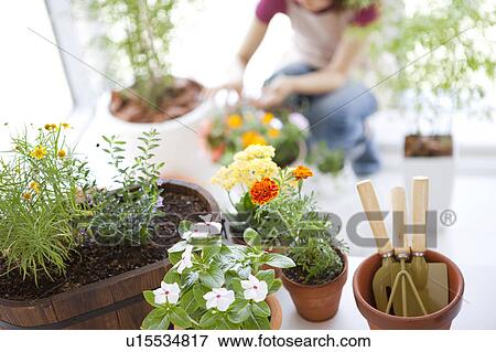 Young woman gardening View Large Photo Image Stock Photo - Young woman gardening. Fotosearch