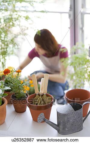 Young woman gardening View Large Photo Image Stock Photo - Young woman gardening. Fotosearch