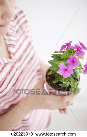 Stock Photo - Young woman holding potted flower. Fotosearch
