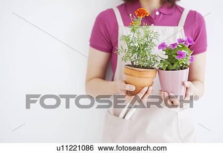 Young woman holding potted flowers View Large Photo Image Stock Photograph - Young woman holding potted flowers. Fotosearch
